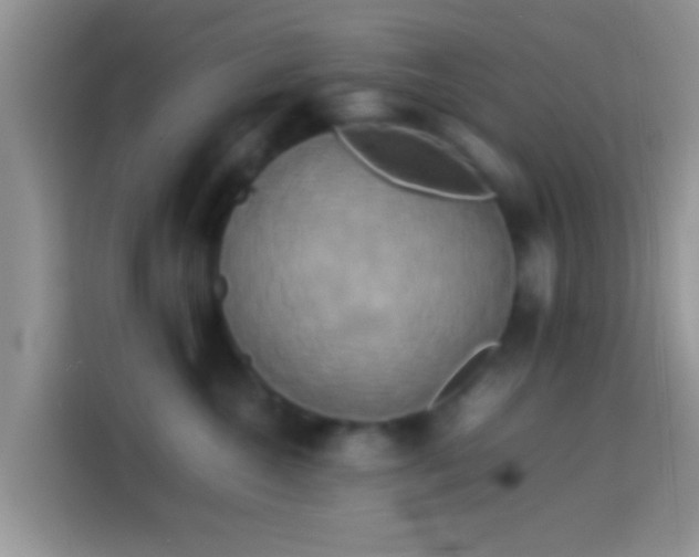 X0000114110572200910131345