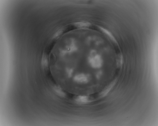 X0000114110573200910131345