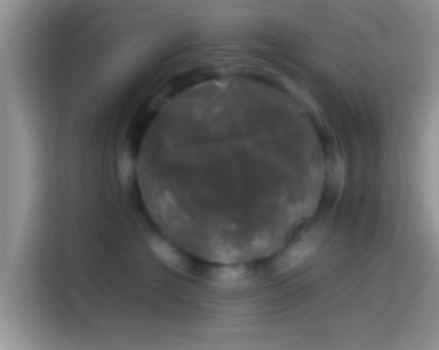 X0000114110574200910131345