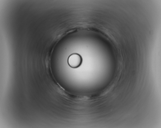 X0000114110576200910131345