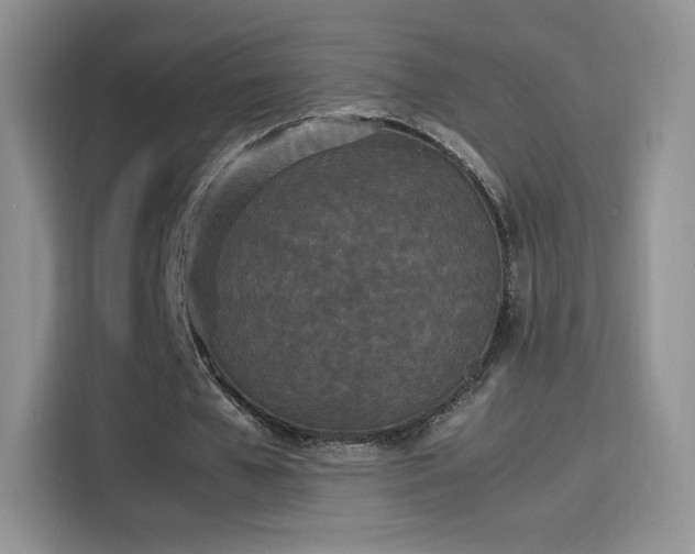 X0000114110577200910131344