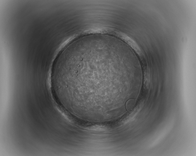 X0000114110578200910131344