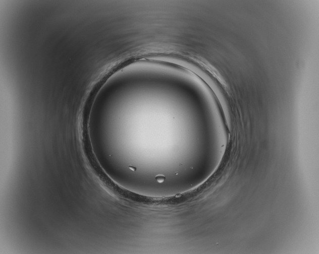 X0000114110581200910131344