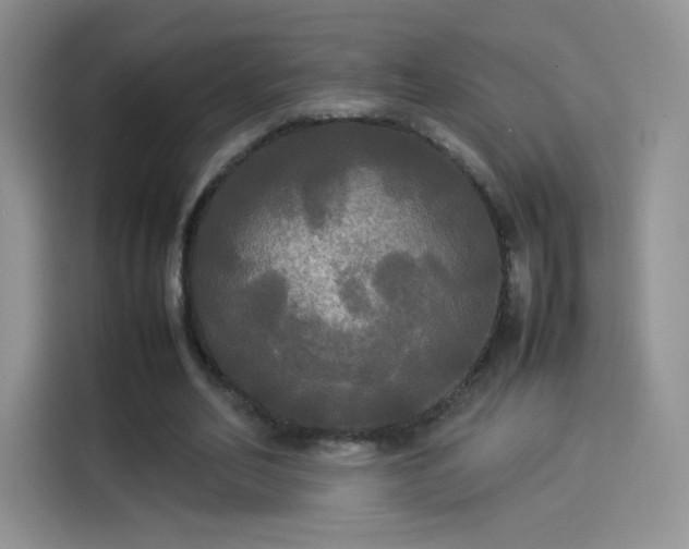 X0000114110582200910131344