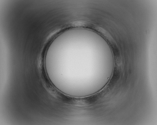 X0000114110583200910131344