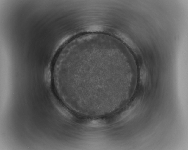 X0000114110584200910131344