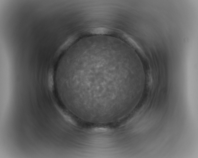 X0000114110586200910131344