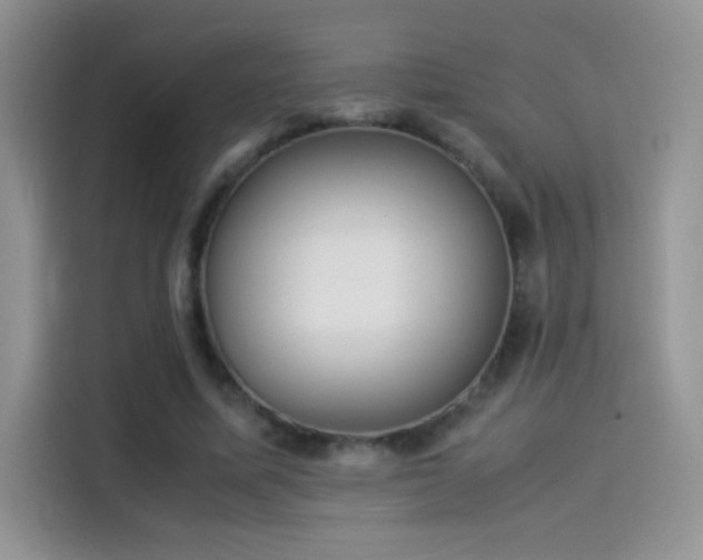 X0000114110587200910131344