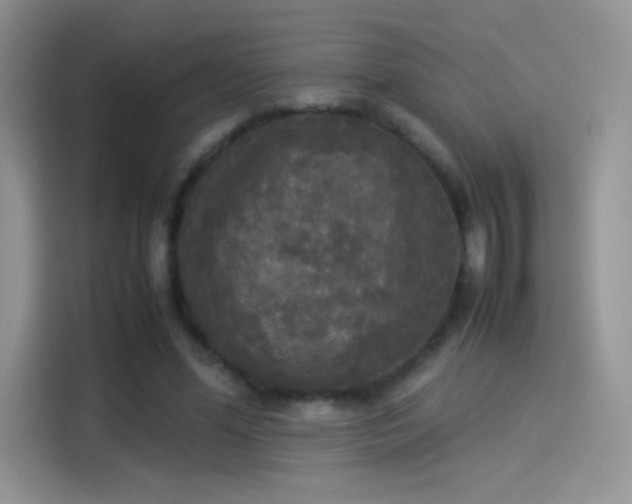 X0000114110588200910131344