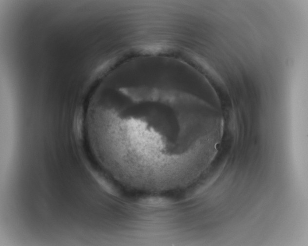 X0000114110590200910131344
