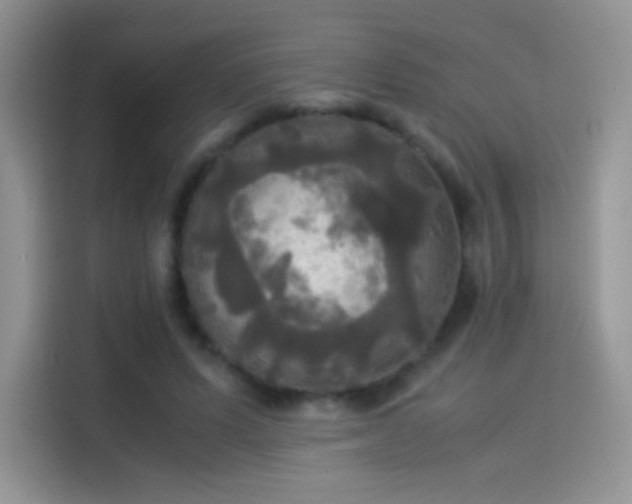 X0000114110591200910131344