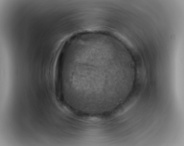 X0000114110592200910131344