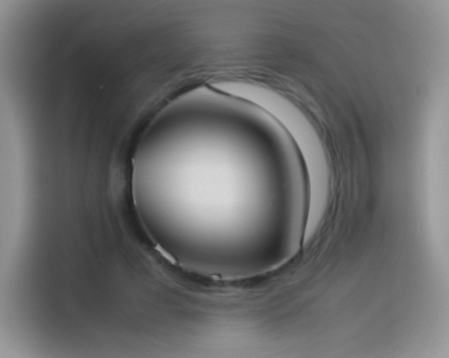 X0000114110593200910131344