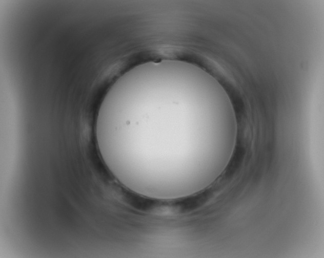 X0000114110595200910131344