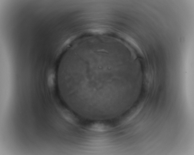 X0000114110596200910131344