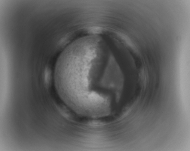 X0000114110598200910131344