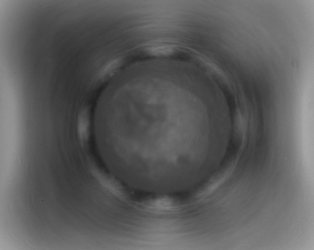 X0000114110600200910131344