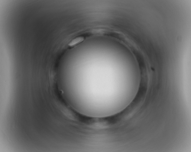 X0000114110601200910131344