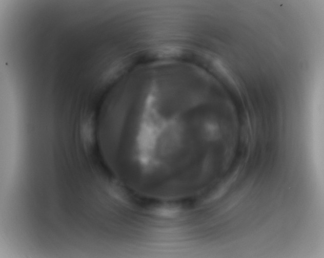 X0000114110604200910131344