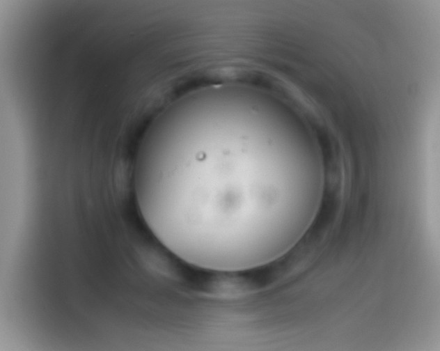 X0000114110605200910131344