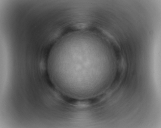 X0000114110606200910131344