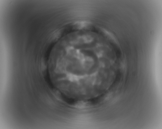 X0000114110607200910131344