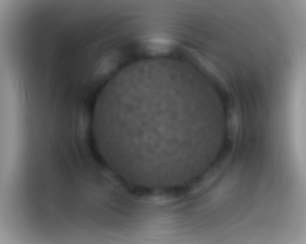 X0000114110608200910131344