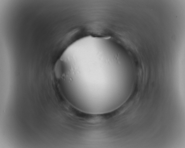 X0000114110609200910131344