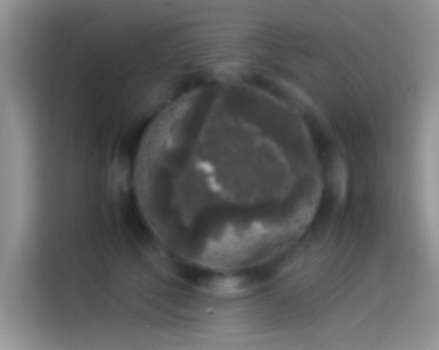 X0000114110610200910131344