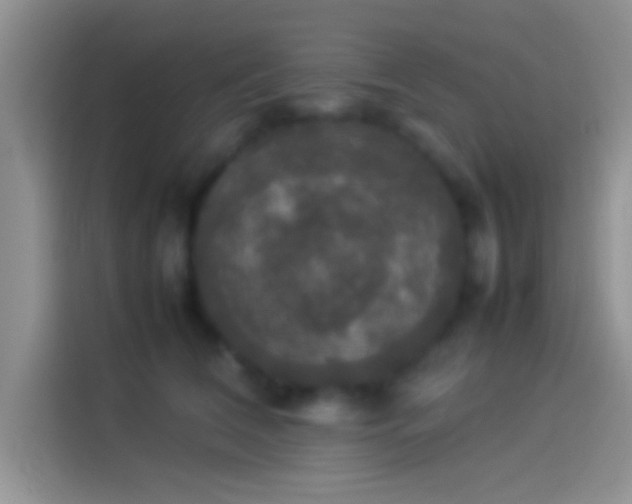 X0000114110612200910131344