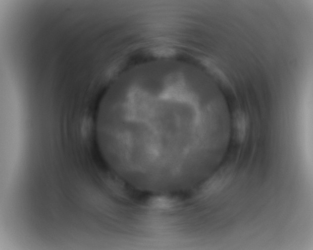X0000114110614200910131344