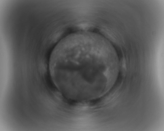 X0000114110615200910131344