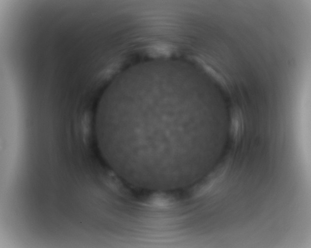 X0000114110616200910131344