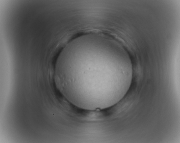 X0000114110617200910131344