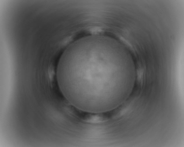 X0000114110618200910131344