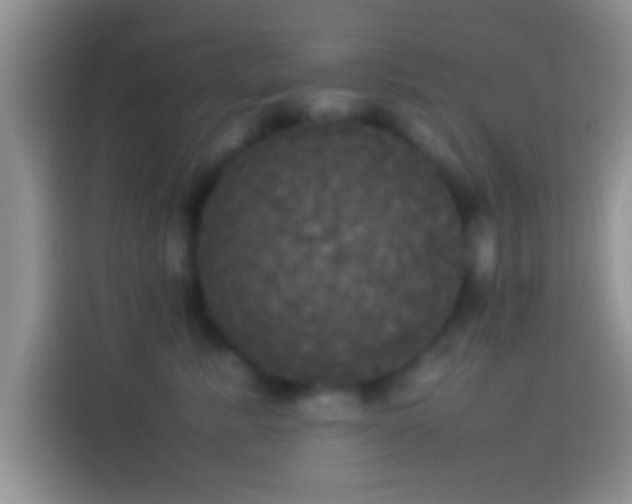 X0000114110619200910131344