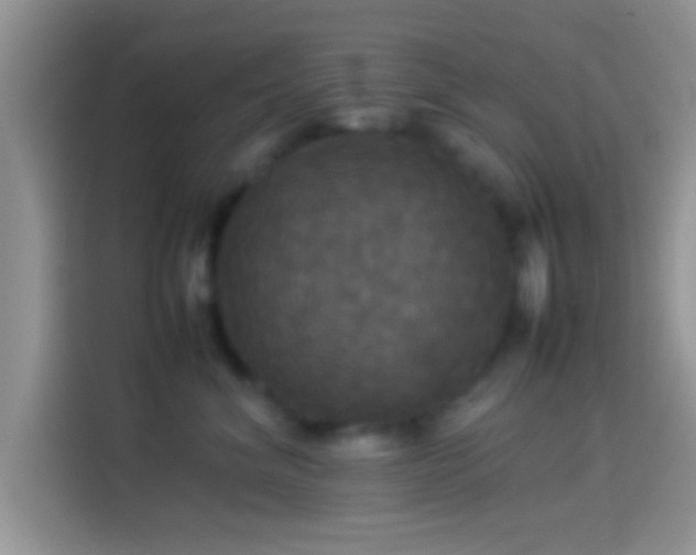 X0000114110620200910131344