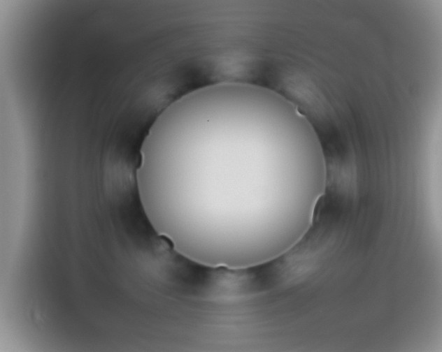 X0000114110621200910131344