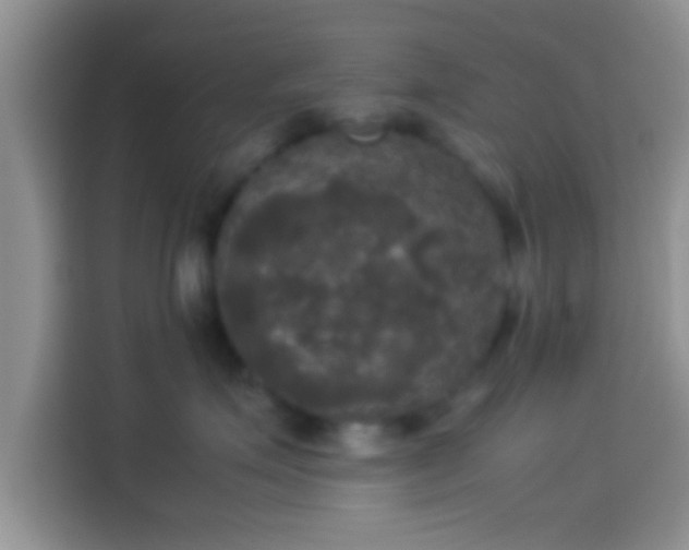 X0000114110623200910131344