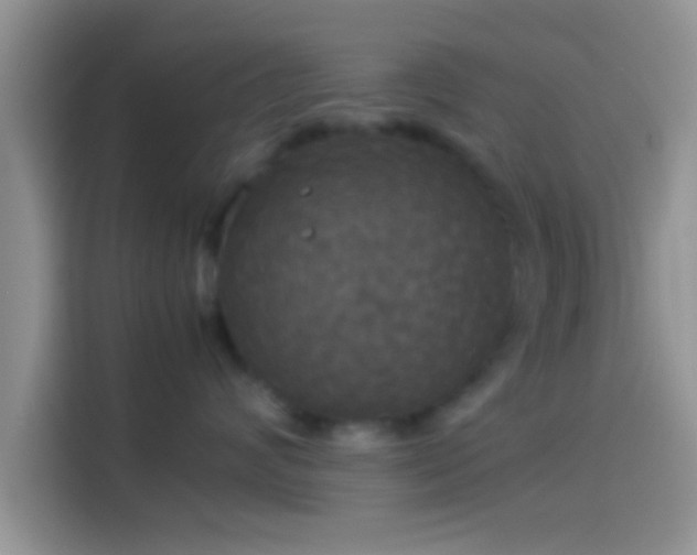 X0000114110624200910131344