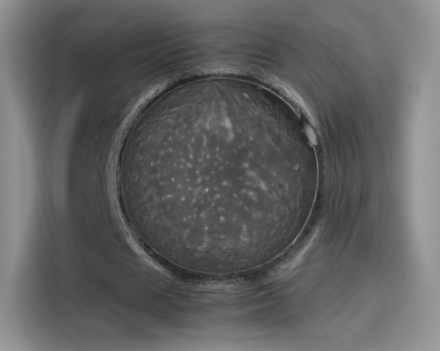 X0000114110625200910131343