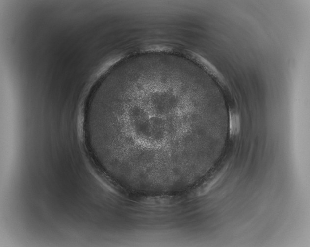 X0000114110627200910131343