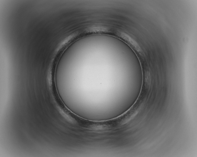 X0000114110629200910131343