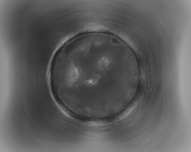 X0000114110630200910131343