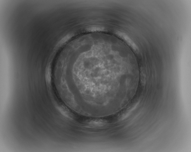 X0000114110631200910131343