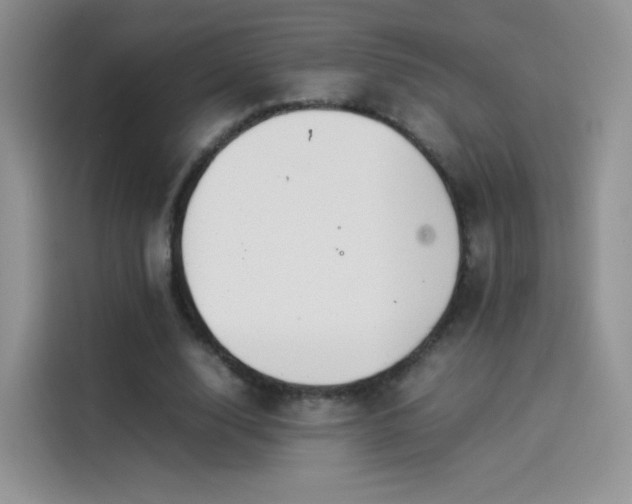X0000114110632200910131343