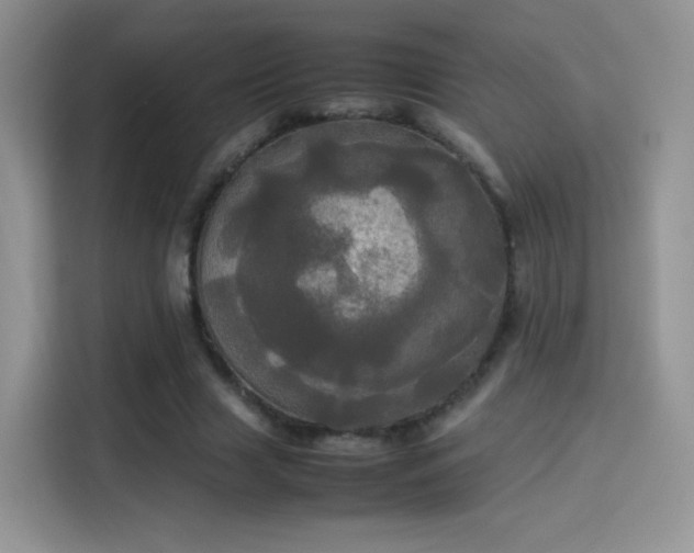 X0000114110633200910131343