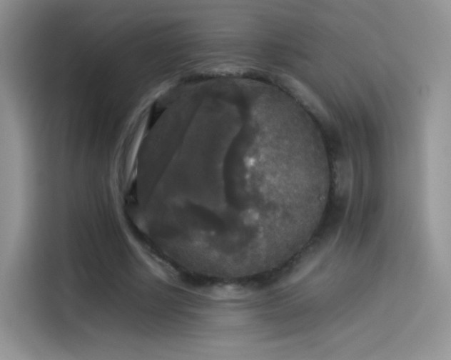 X0000114110634200910131343