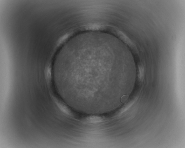 X0000114110636200910131343