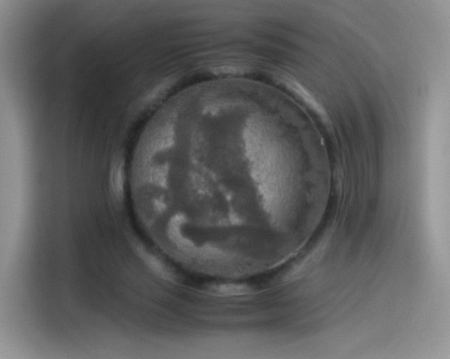 X0000114110637200910131343